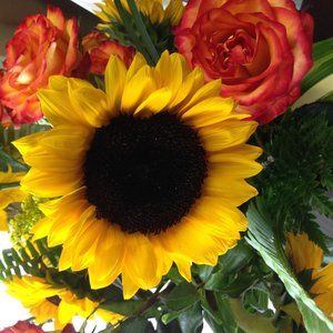 Meet your Posher, Jackie from San Antonio, Texas